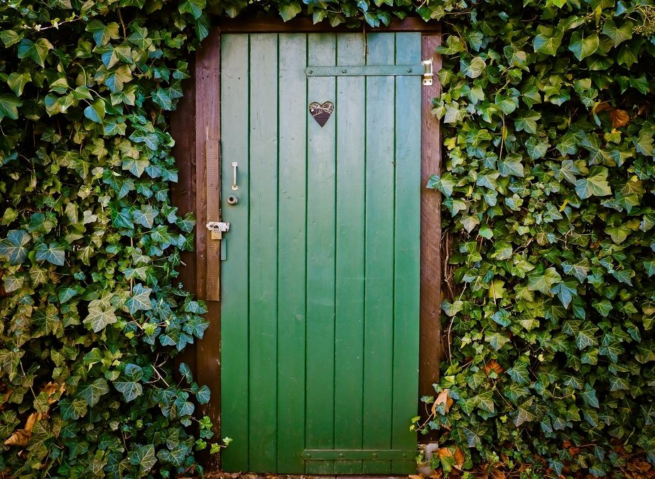 Giardino Verticale: Benefici e Consigli